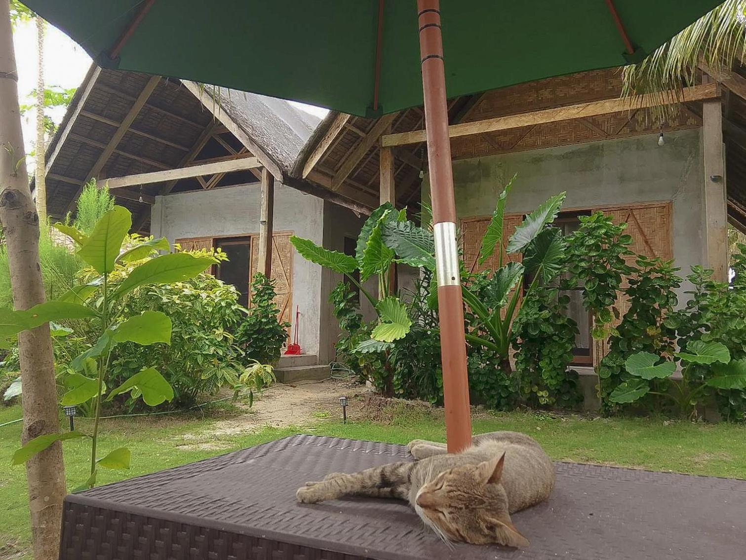 San Isidro Coleto Siargao住宿加早餐旅馆 外观 照片