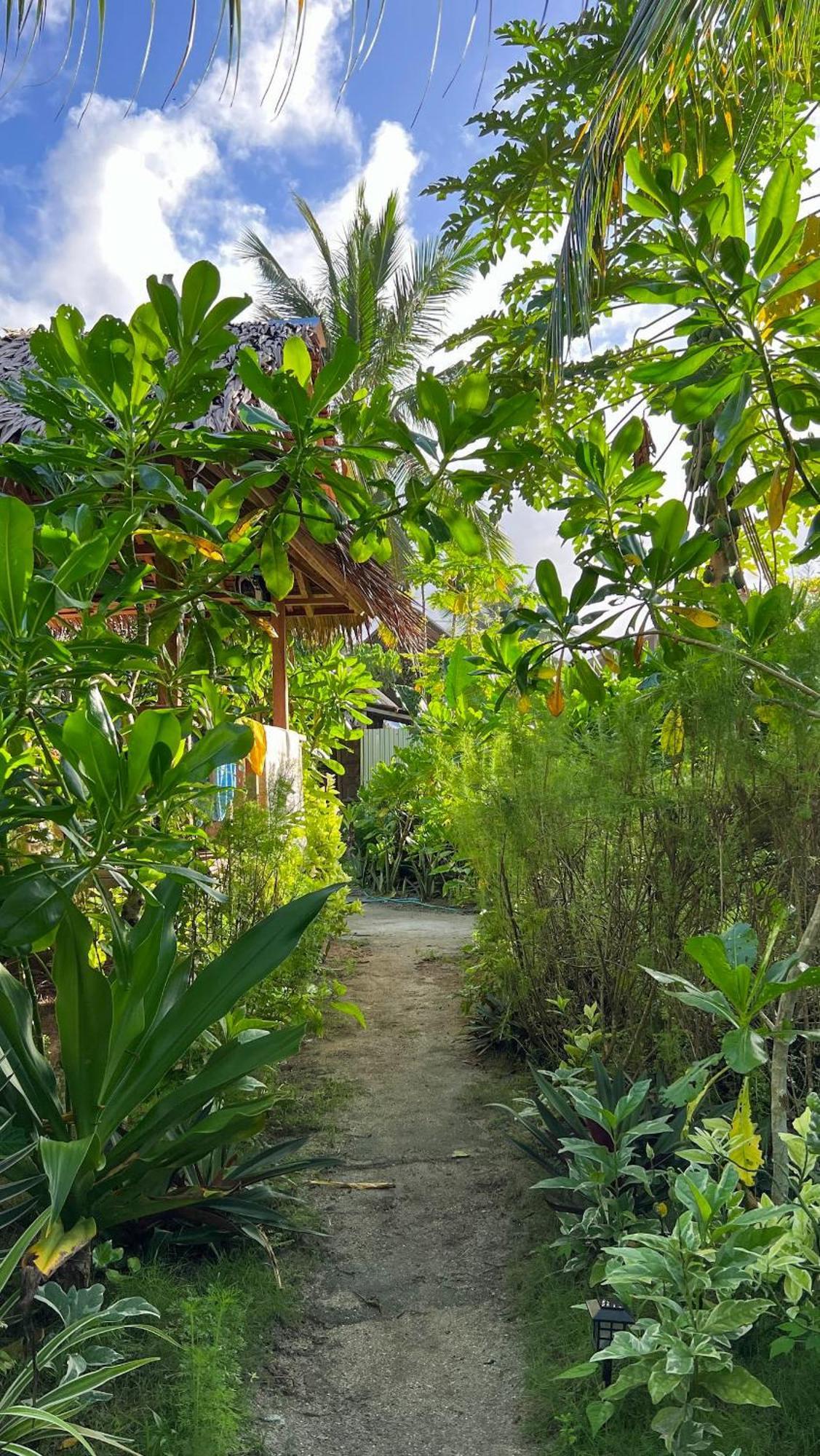 San Isidro Coleto Siargao住宿加早餐旅馆 外观 照片