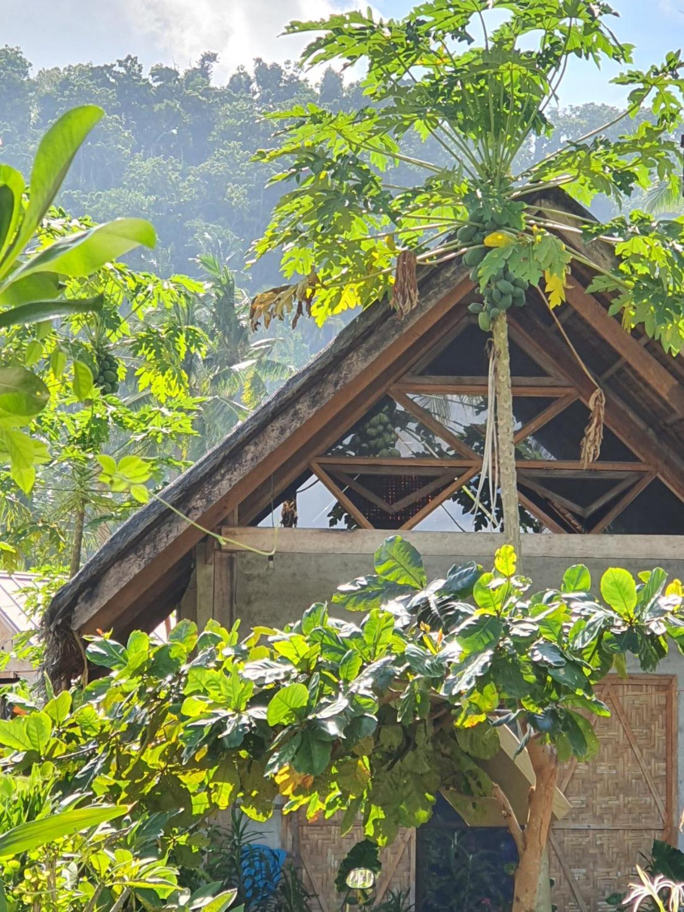 San Isidro Coleto Siargao住宿加早餐旅馆 外观 照片
